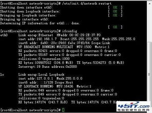 電腦軟硬件應用網 全面解析計算機軟硬件的實用指南